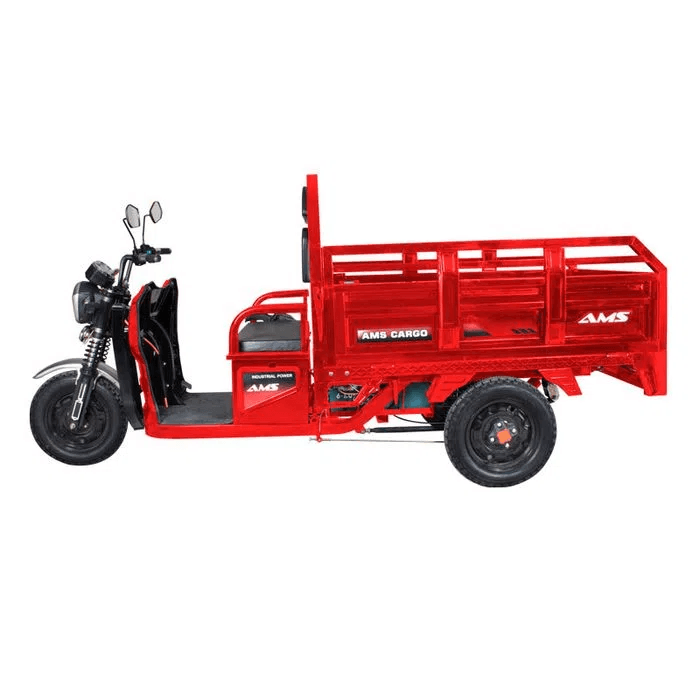 AMS-Cargo-Rojo--1-